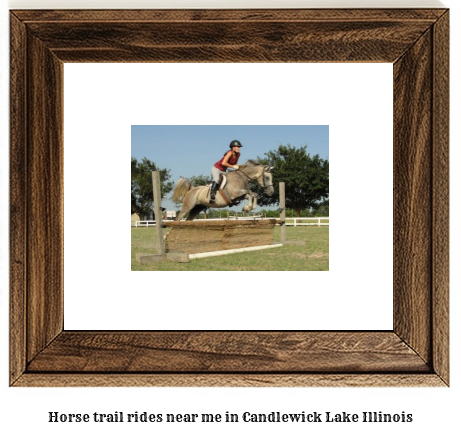 horse trail rides near me in Candlewick Lake, Illinois